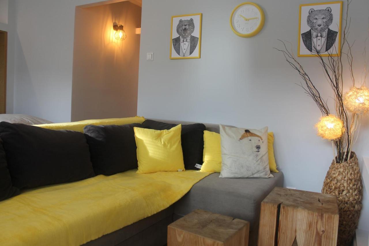 Apartament Bialy Mis Centrum 扎科帕内 外观 照片